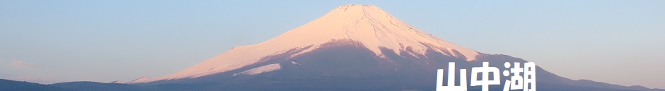 ロゴ画像