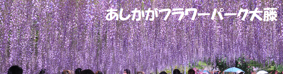 ロゴ画像