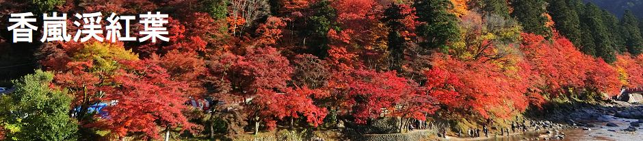 ロゴ画像