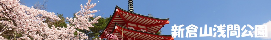 ロゴ画像
