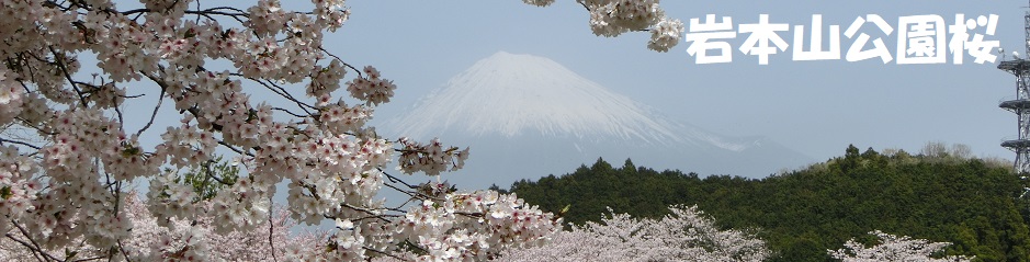 ロゴ画像