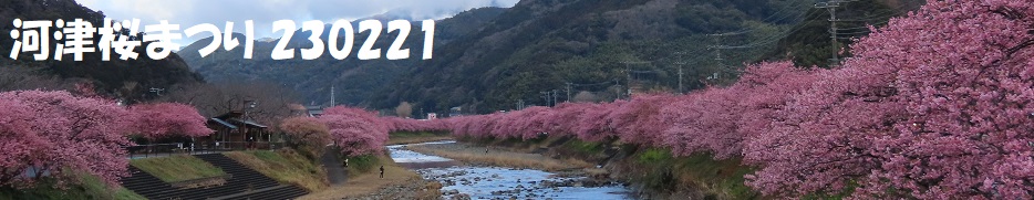 ロゴ画像