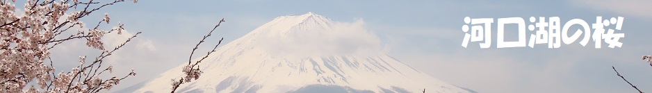 ロゴ画像
