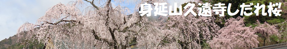 ロゴ画像
